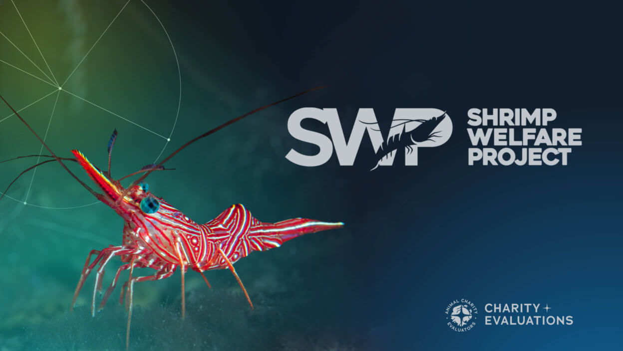 Shrimp Welfare Project campaign page