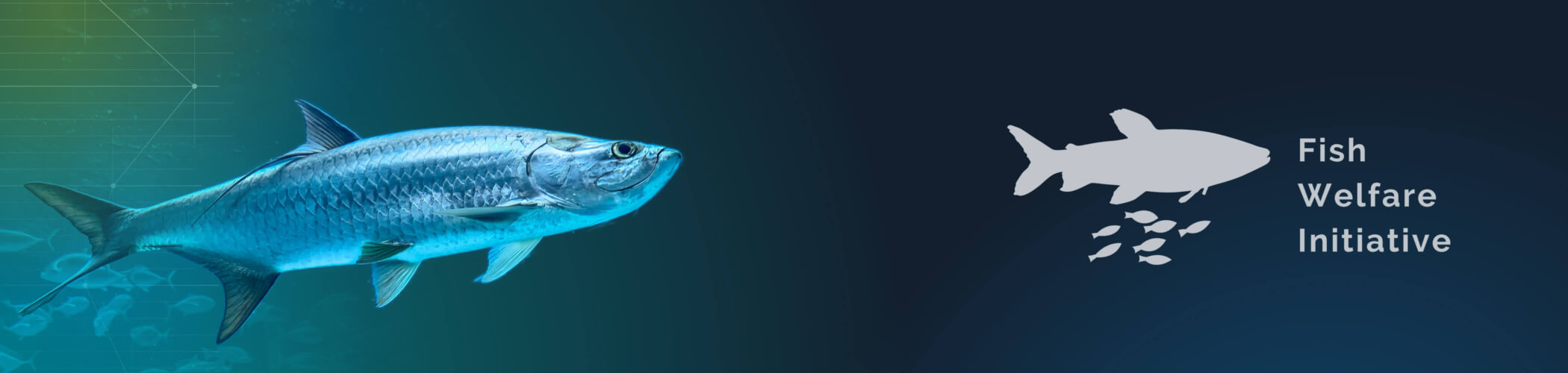 Fish Welfare Initiative review banner