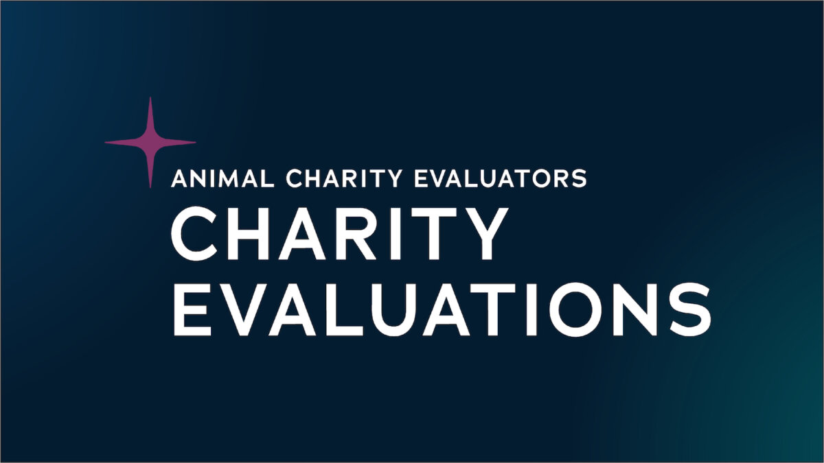 Charity Evaluations featured image