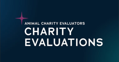 Charity Evaluations featured image