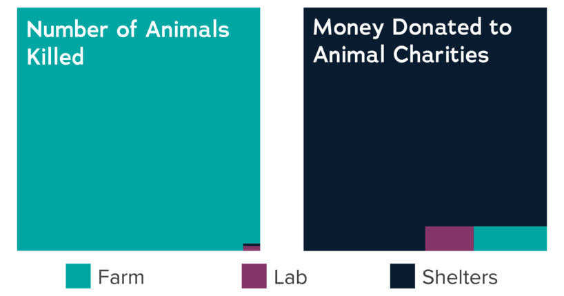 Illustration showing the number of animals killed versus the money donated to animal charities