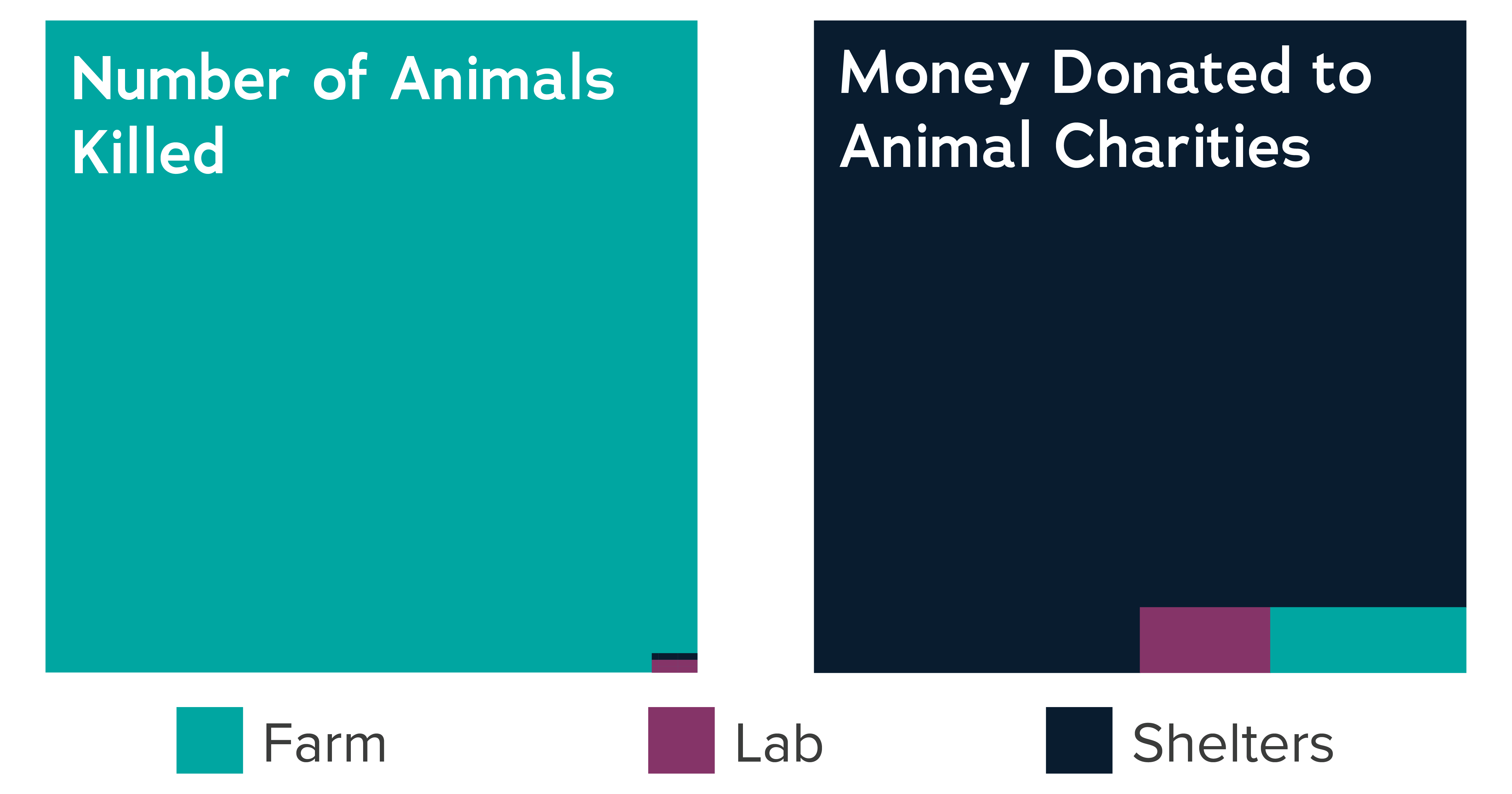 Illustration showing the number of animals killed versus the money donated to animal charities