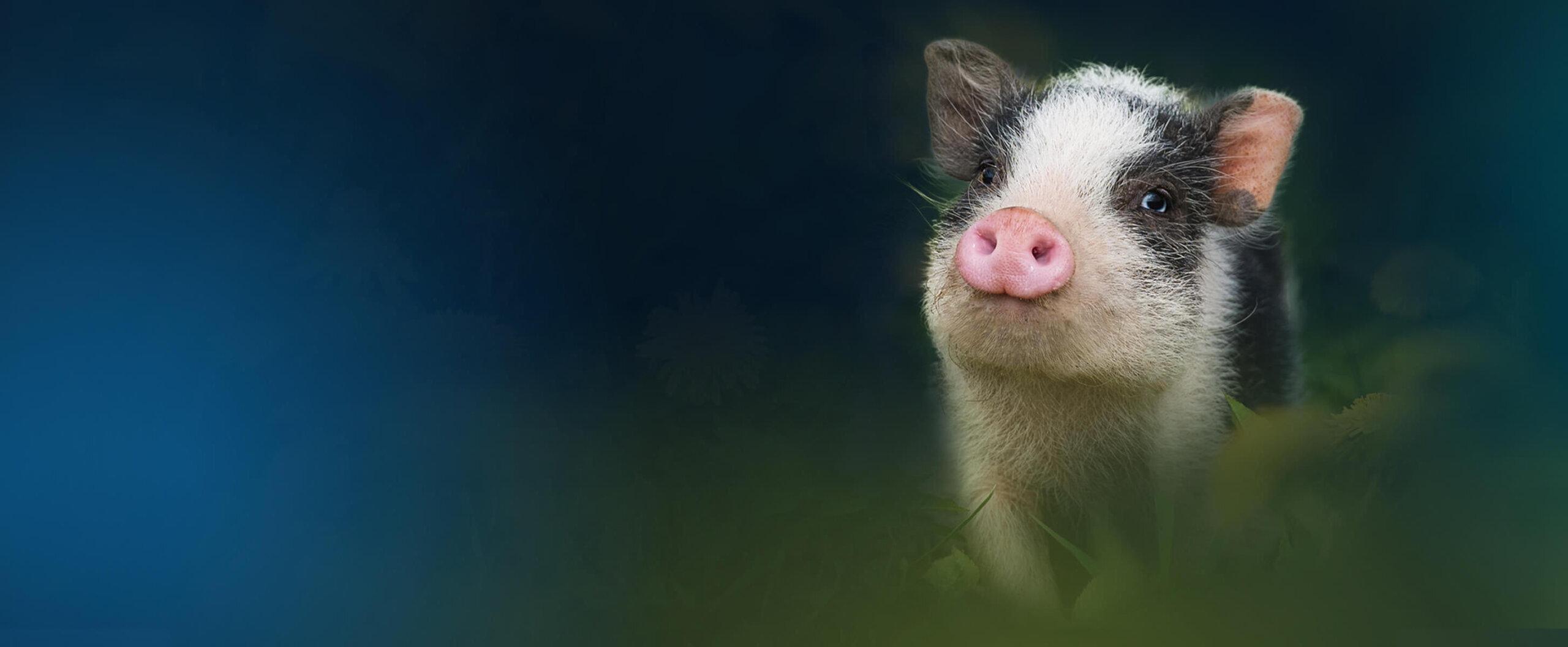 Donate to Recommended Charity Fund background image
