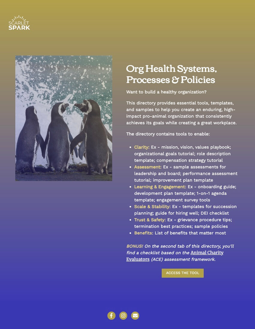 Org Health Systems, Processes & Policies