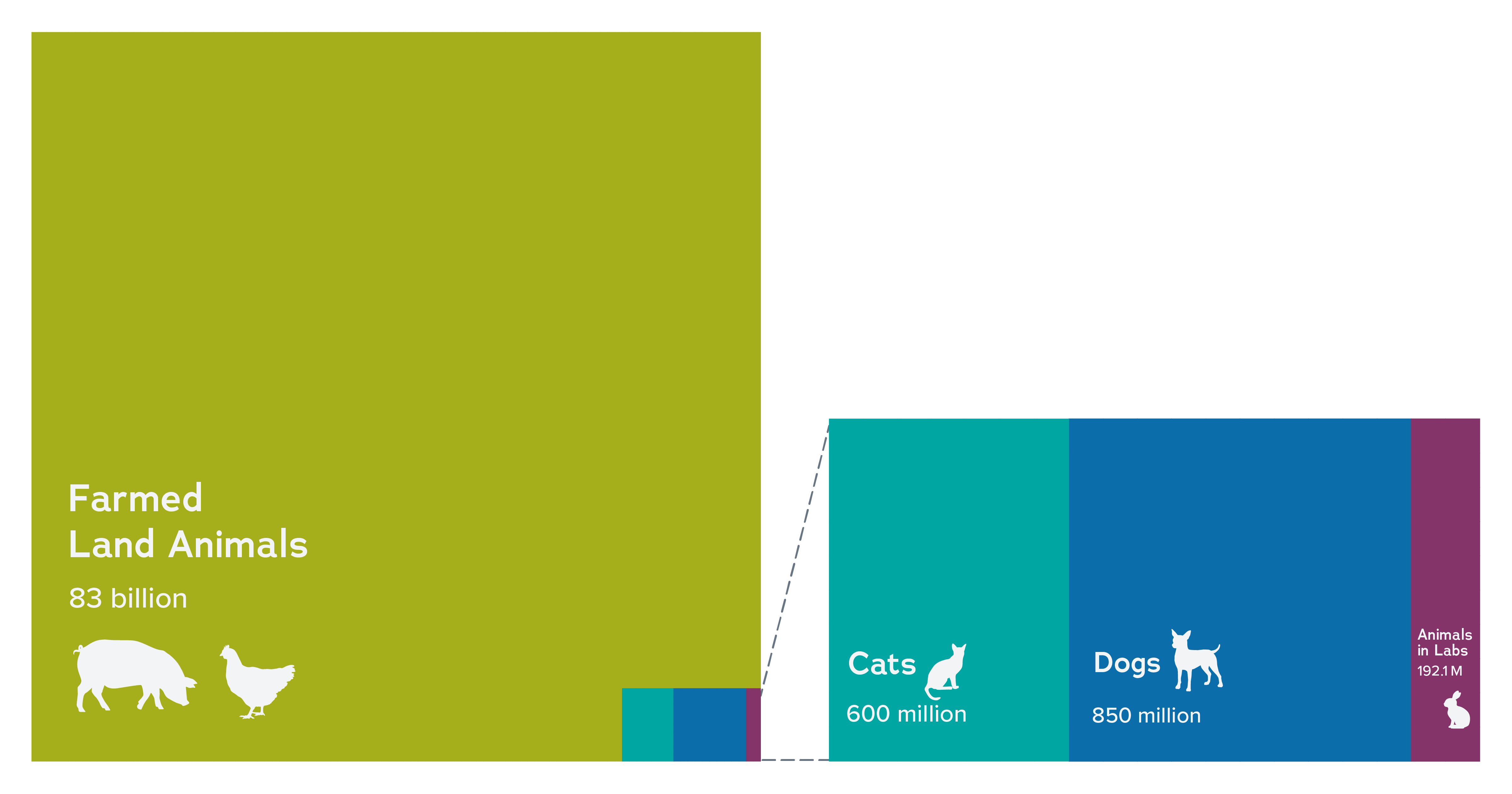 farmed animals vs companion and lab animals