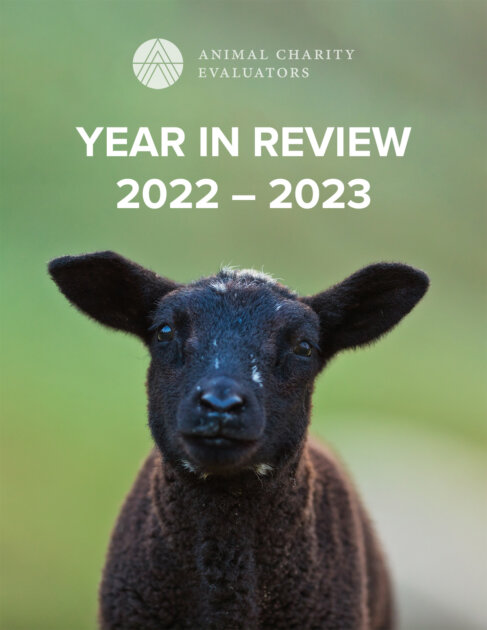 2022-2023 Year In Review