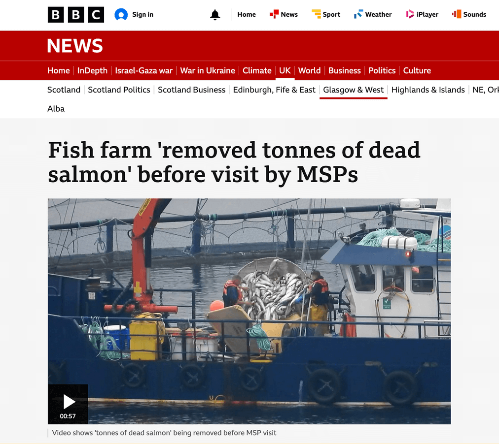 BBC reporting of salmon farming investigations. 