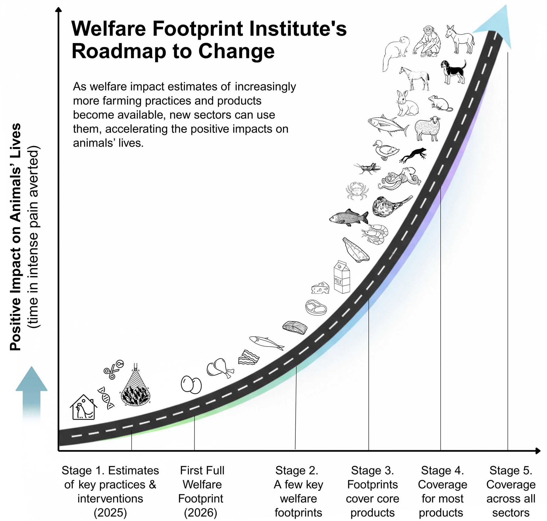 WFI’s roadmap to change.