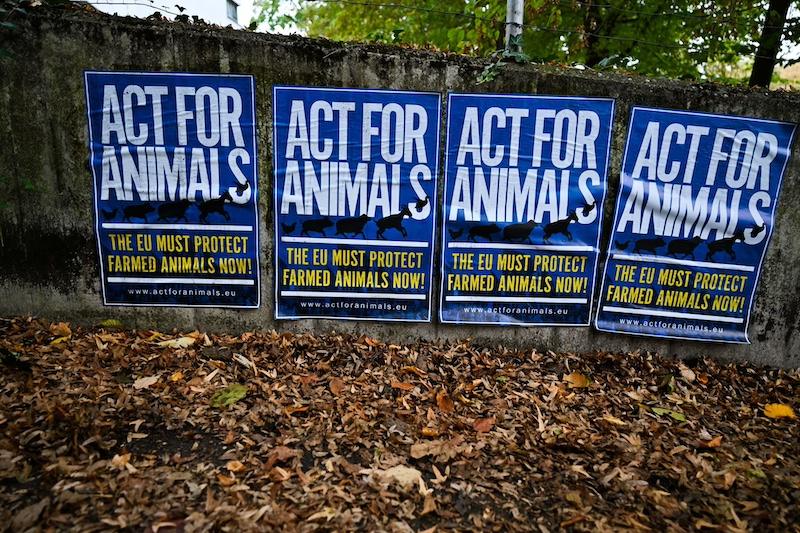 act-for-animals-poster