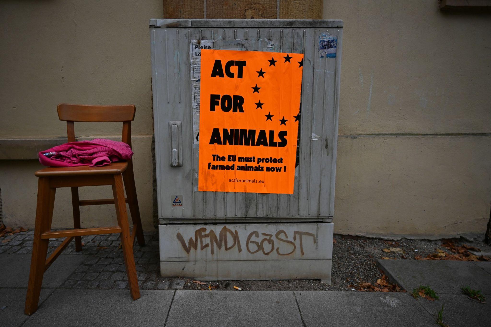 act-for-animals-poster