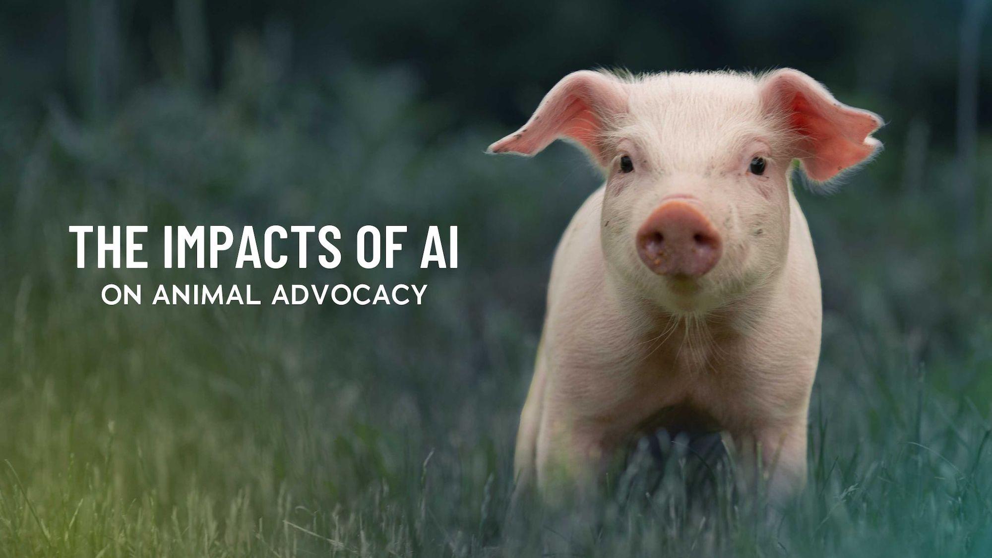 The impacts of AI on animal advocacy