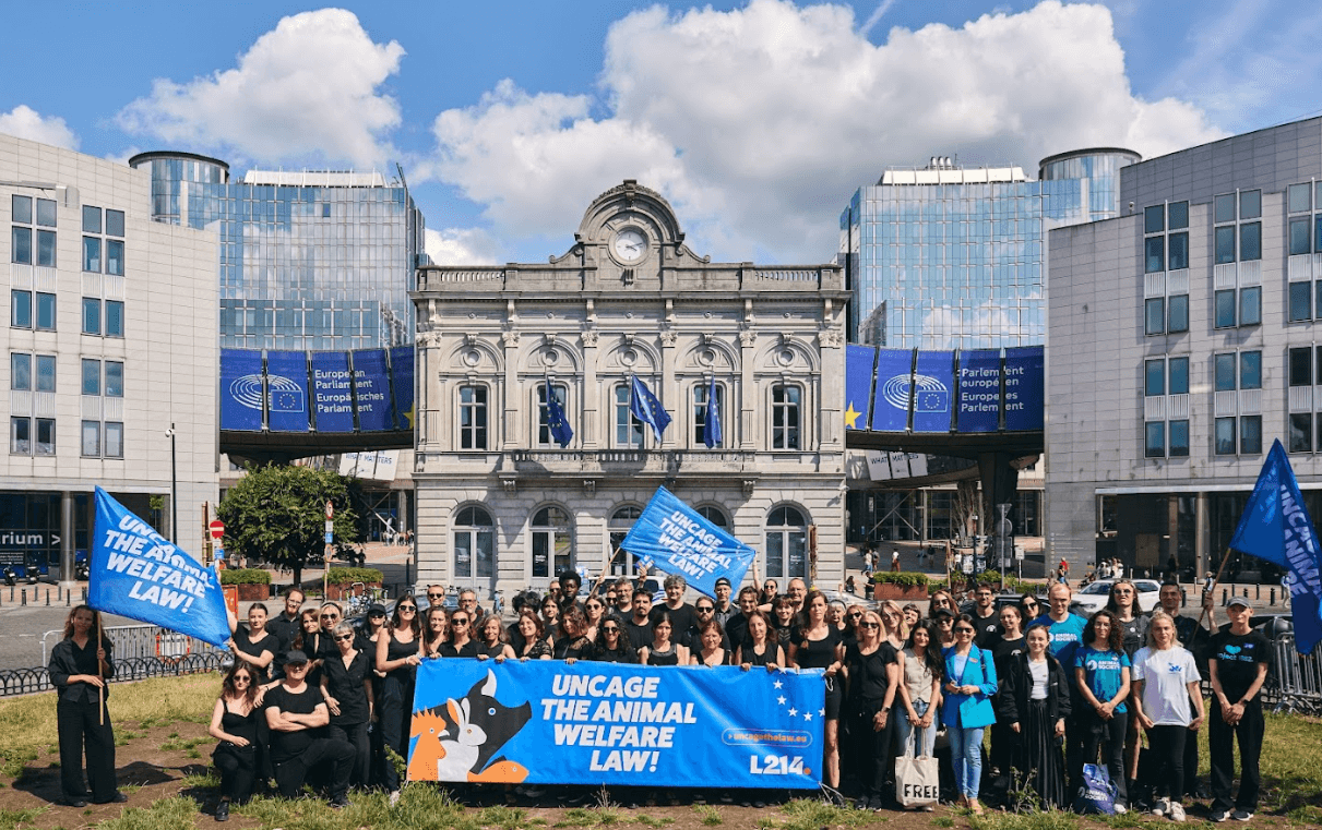 Joint protest outside the European Parliament