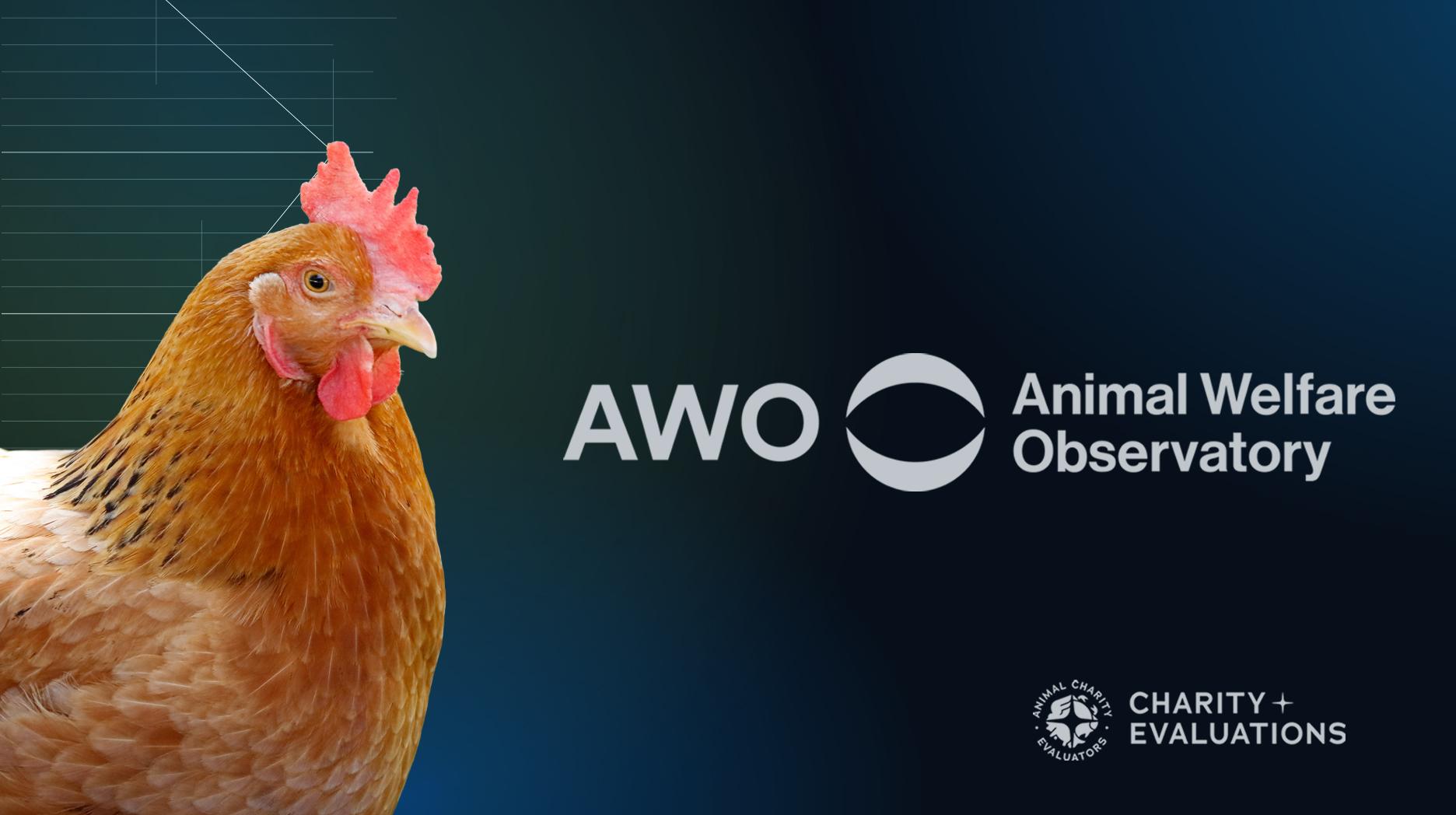 Donate to Animal Welfare Observatory