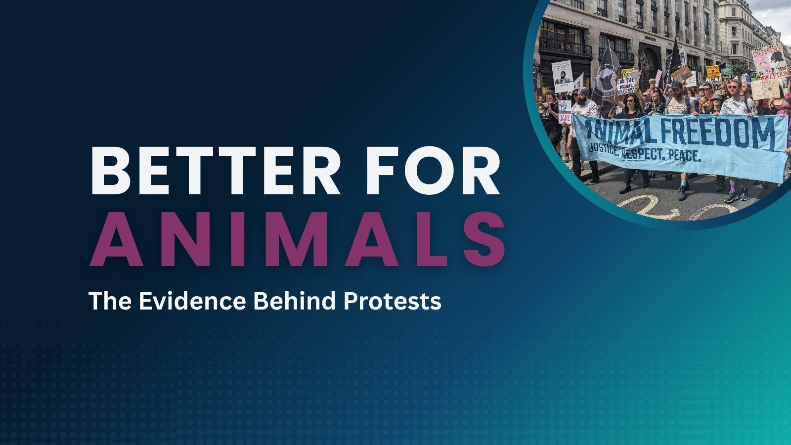 Better For Animals - Protest image