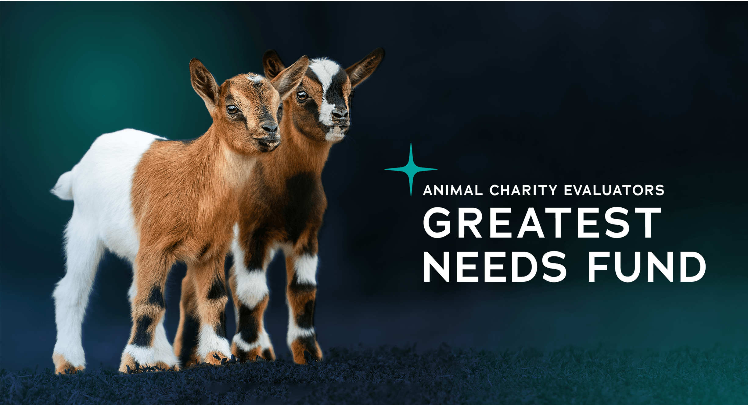 Greatest Needs Fund