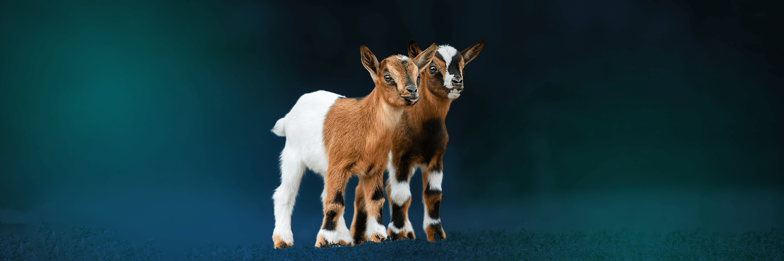 The Greatest Fund Need background image