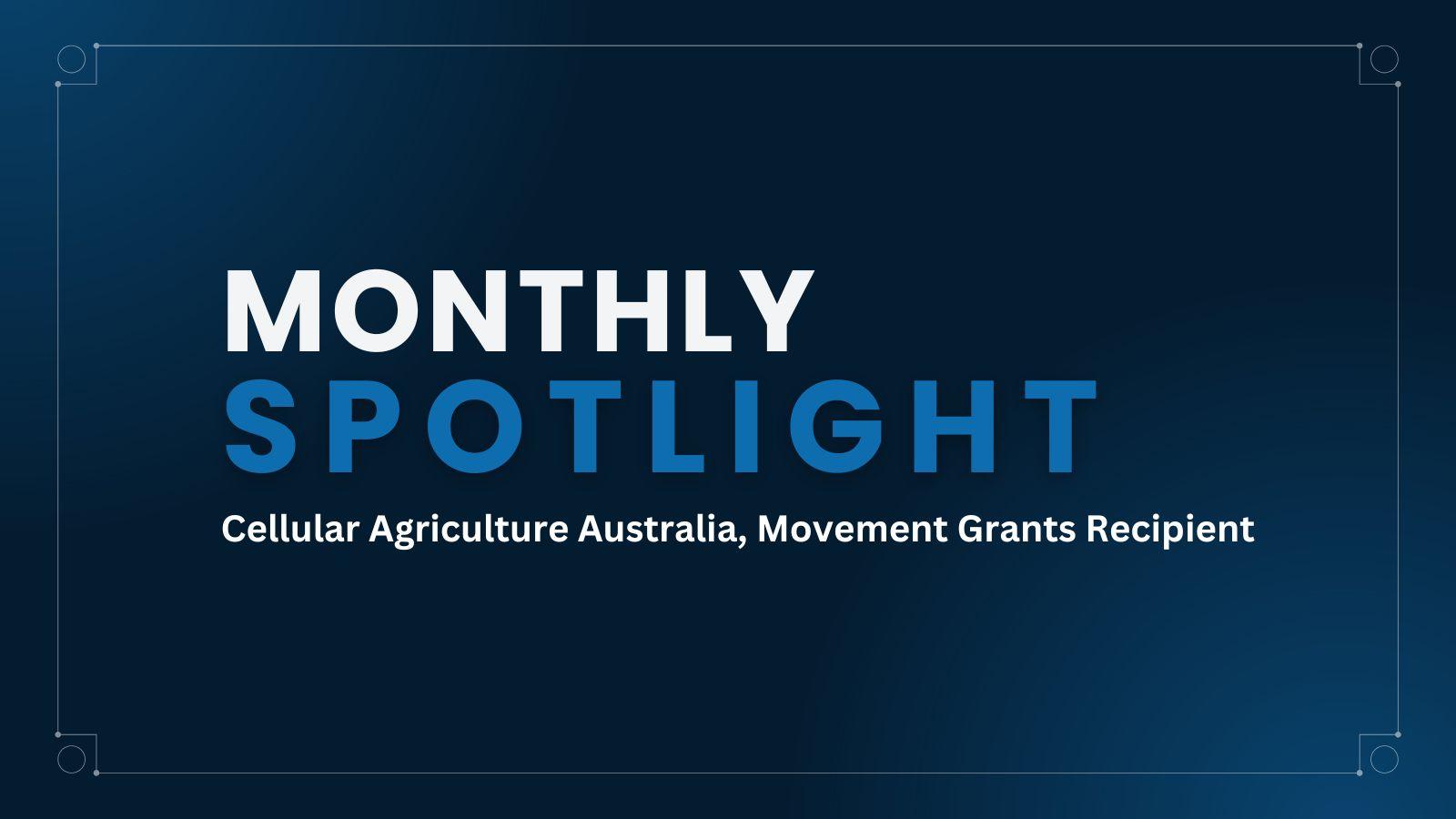 Monthly Spotlight featured image