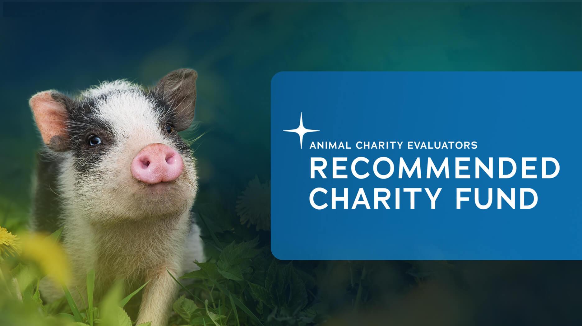 Recommended Charity Fund