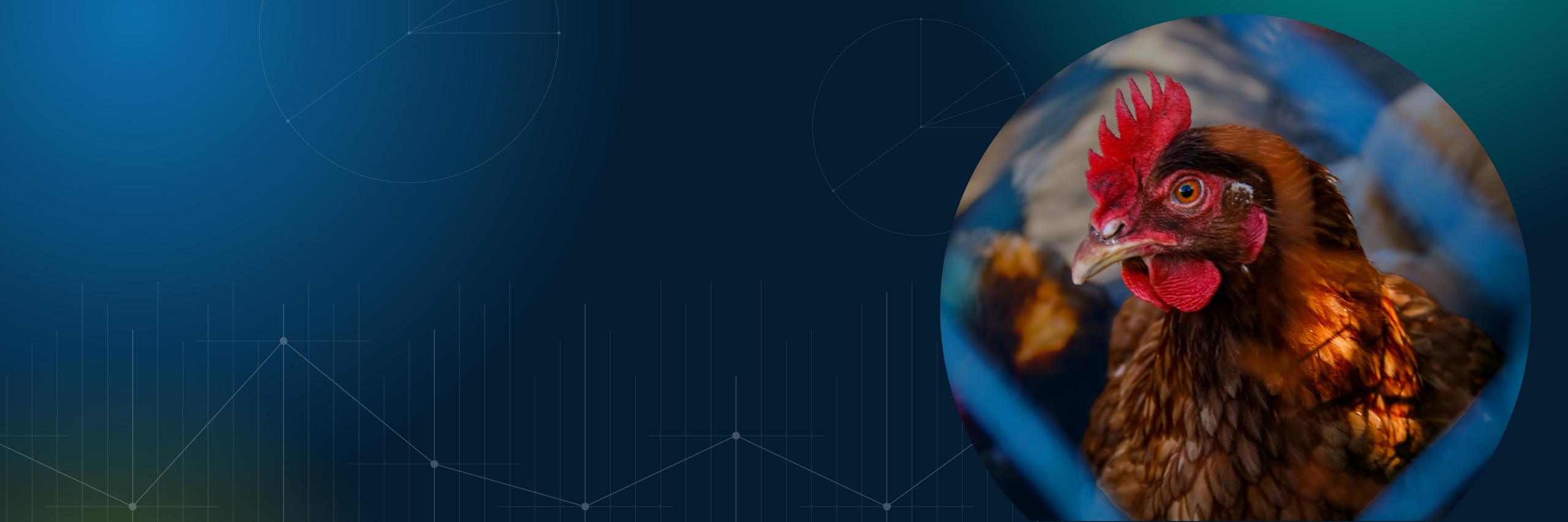 RCF matching challenge banner background image