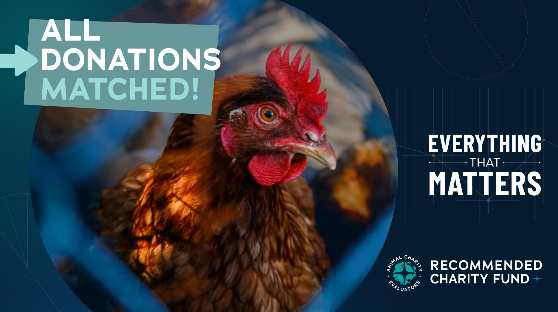 RCF matching challenge background image