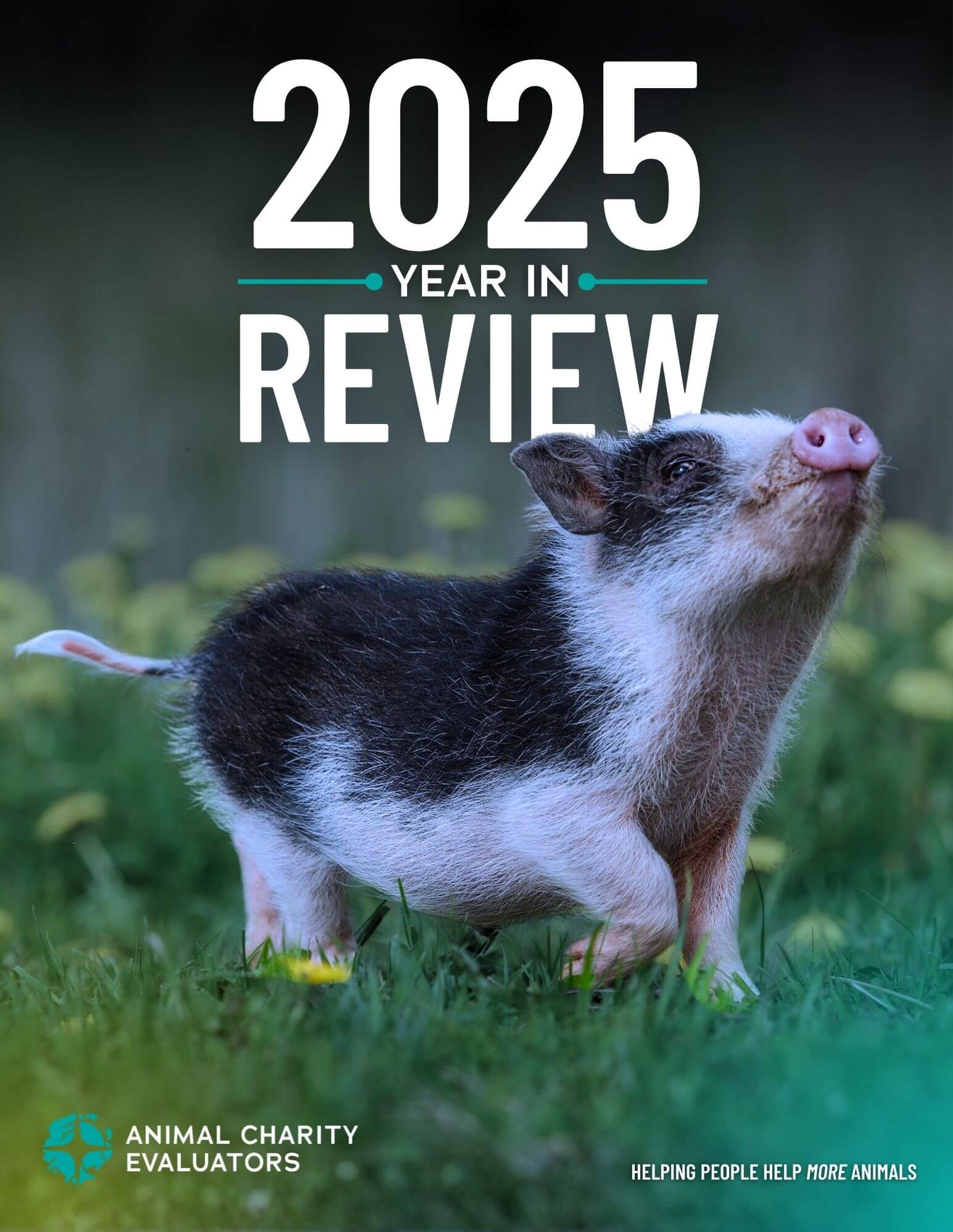 2025 ACE Year in Review front cover