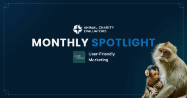 Monthly Spotlight User-friendly