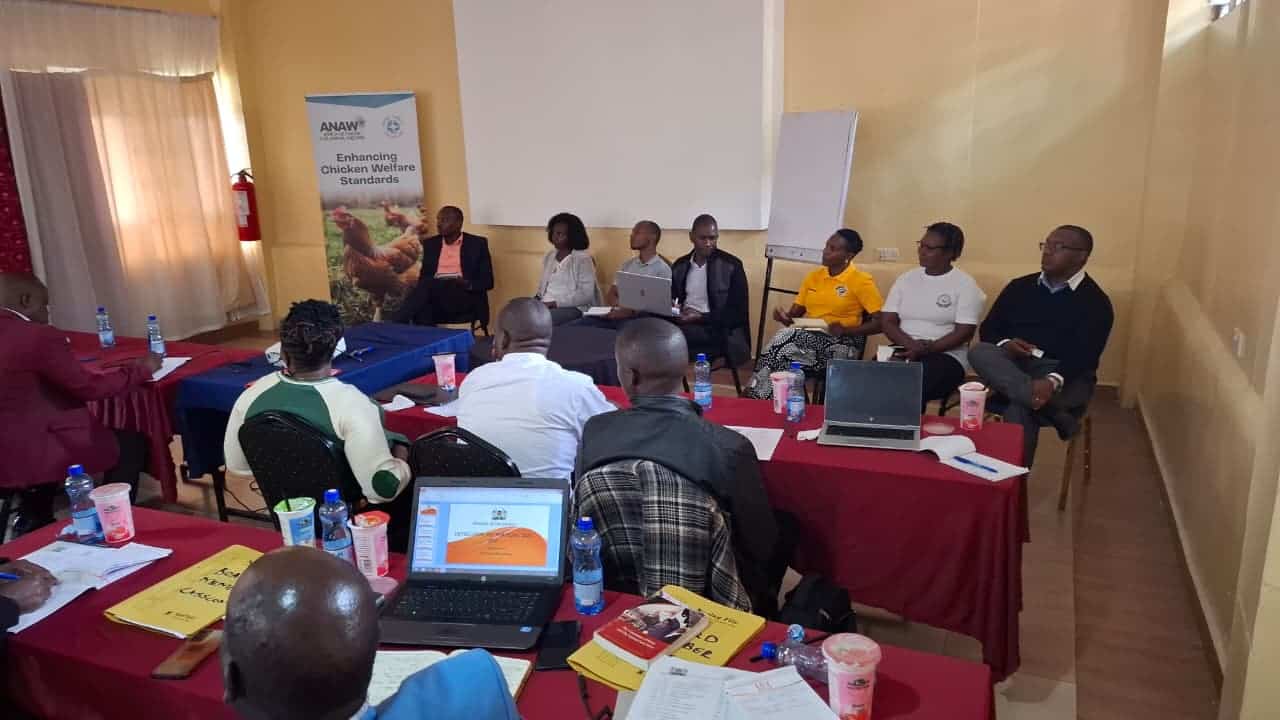 Africa Network for Animal Welfare