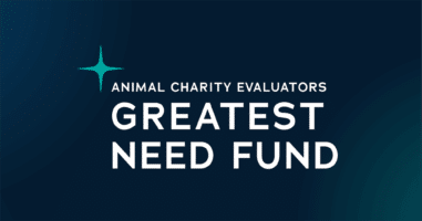 greatest need fund featured image
