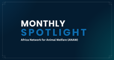 Africa Network for Animal Welfare Featured Image