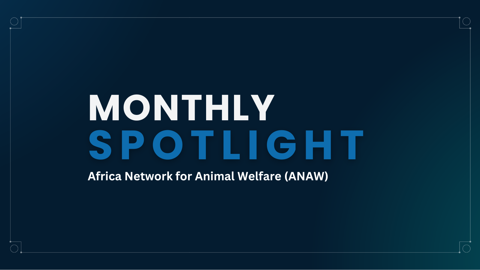 Africa Network for Animal Welfare Featured Image