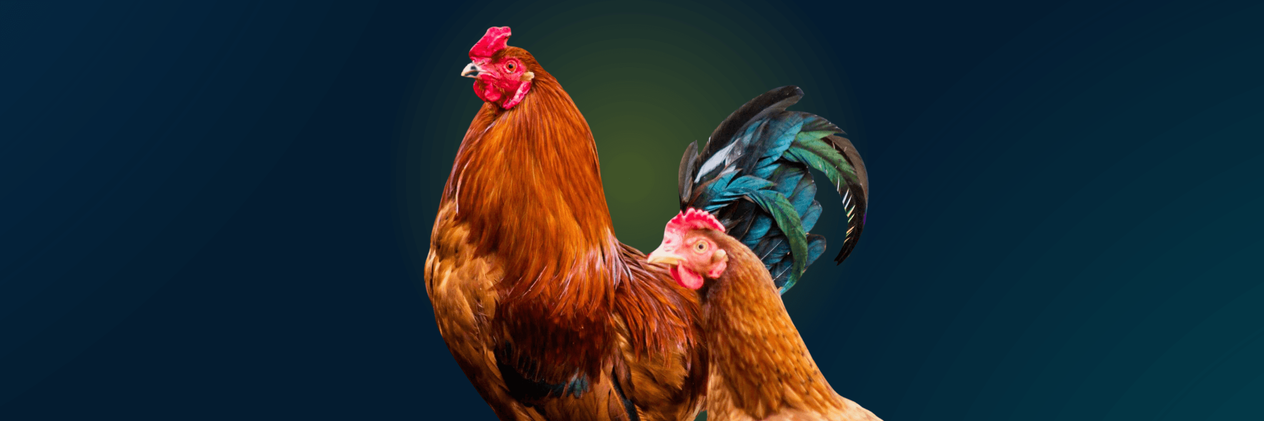 2026 Movement Grants Matching Challenge Image